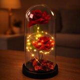 Eternal 2 Roses in Dome with LED Lighting and Rose Petals Red 21x11cm | Shoptok.si