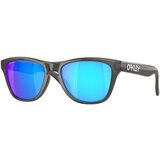 Oakley Frogskins XXS OJ9009-02 - ONE SIZE (48) | shoptok.hr