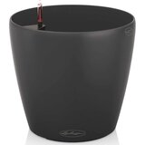 LECHUZA Okrasni lonec Classico Color 43 - Temno siva | Shoptok.si