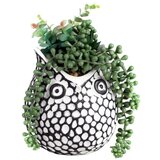 NATURAL LIVING Saksija ukrasna stone 13cm Hibou Diam 54684 | Eponuda.ba