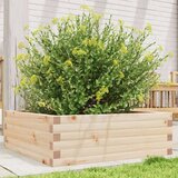  Vrtno cvetlično korito 70x70x23 cm trdna borovina | Shoptok.si