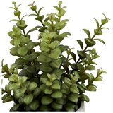 House Nordic Umjetna biljka (visina 33,5 cm) Succulent – | shoptok.hr
