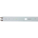 Eastern Star ES-1208 PANASONIC TX-55EXX689 LED TRAKE | Eponuda.com