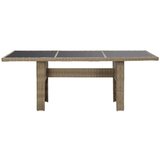  Vrtna jedilna miza rjava 200x100x74 cm steklo in poli ratan, (20665653) | Shoptok.si