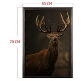 Wallity slika stag horn, 50 x 70 cm | ePonuda.com