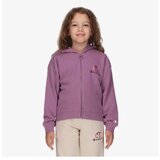 Champion Hooded full zip sweatshirt | ePonuda.com