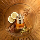 Azzaro Wanted toaletna voda za muškarce 100 ml | shoptok.hr