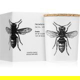 Vila Hermanos Insect Calabrone mirisna svijeća 75 g | shoptok.hr