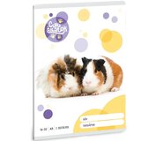Ars Una Črtasti zvezek za 2. razred : Ljubke živali - Morski prašiček 32 listov A5 | Shoptok.si