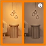 Wiz LED prigušiva sijalica VINTAGE G125 E27/6,7W/230V 2000-5000K CRI 90 Wi-Fi - WiZ | Eponuda.com