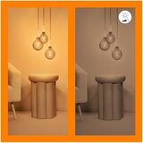 Wiz Sa žarnom niti pametna žarulja E27, 7 W – | shoptok.hr