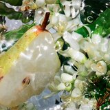 Guerlain Aqua Allegoria Pera Granita toaletna voda nadomestno polnilo za ženske 200 ml | Shoptok.si