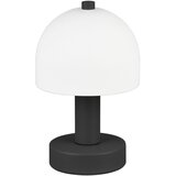  Črna/bela namizna svetilka s steklenim senčilom (višina 19 cm) Glenn – Cene
