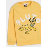 Sinsay Komplet od 3 gornja dijela trenirke Mickey Mouse | shoptok.hr