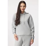 Pieces Puloverji PCCHILLI LS HOODIE Siva Cene