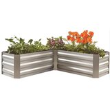 Garden Pleasure Visoka gredica za sadnju Magnolia – | shoptok.hr