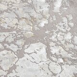 Think Rugs Svijetlo sivi tepih 80x150 cm Apollo – | shoptok.hr