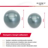 Worqout Gym Ball 65 cm - unisex | ePonuda.com
