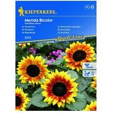 KIEPENKERL Profi-Line Sjeme cvijeća Suncokret Merida Bicolor (Helianthus annuus, Žuta, Crvena) | shoptok.hr