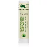 Avon Cannabis Sativa Oil Nourish & Calm balzam za usne s uljem kanabisa 4,5 g