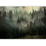  Foto tapeta - Misty Beauty of the Forest 200x140 Premium | shoptok.hr