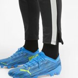 Puma TEAM LIGA TRAINING PANTS Muške hlače za vježbanje, crna, veličina | shoptok.hr