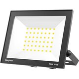 Braytron LED Reflektor 50W Crni 6500K IP65 BT66-05031 Cene