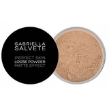 Gabriella Salvete Perfect Skin Loose Powder mat puder 6,5 g odtenek 02
