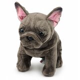 Plišana igračka Bulldog 22 cm - smeđi | Shoptok.si