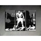  Ročno izdelana slika POP Art Muhamad Ali 3-delna (pop art) | Shoptok.si