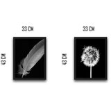 WALLXPERT Dekorativna slika u okviru (2 komada) Dandelion Feather Set | ePonuda.com
