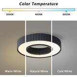 Brilagi LUMIX LED prigušiva stropna svetiljka LED/48W/230V 3000-6000K crna, prečnika 50 cm + daljinski upravljač | Eponuda.com