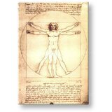  Slika na platnu VITRUVIJEV ČLOVEK – Leonardo Da Vinci | Shoptok.si