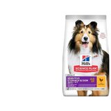 Hills_Science_Plan hills science plan hrana za pse medium adult sensitive skin