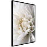  Poster - Peace of Mind 20x30 Cijene