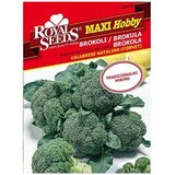 Brokula Corvet Maxi Royal Seeds | Eponuda.ba