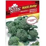 Corvet Maxi Royal Seeds
