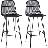 Barska stolica 2 pcs Crna 44 x 55 x 109 cm Ratan i Čelik | Eponuda.com