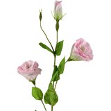 Mondex umetna cvetlica gumirana Viridis Eustoma 70cm zelena 1kos, (5000301160) Cene