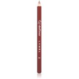 LAMEL Lip Definer črtalo za ustnice odtenek 06 Taupe 1.1 g Cene