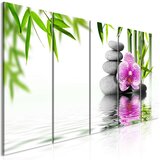  Slika - Water Garden (5 Parts) Narrow 200x80 | shoptok.hr