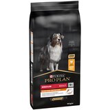 Pro Plan Adult medium Cene