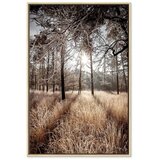  Slika - Straight Into Love (1 Part) Vertical 60x90 U prirodnom drvenom okviru | shoptok.hr
