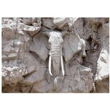  Samoljepljiva foto tapeta - The Bridge of Time (South Africa) 196x140 | shoptok.hr