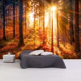  Samoljepljiva foto tapeta - Autumnal Time 245x175 Cijene