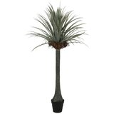  Umjetna juka 180 cm | shoptok.hr