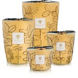 Baobab Collection Folia Garrigue dišeča sveča 16 cm | Shoptok.si