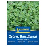 KIEPENKERL Zelenjavna semena Portulak (Portulaca oleracea, Čas žetve: Maj) | Shoptok.si