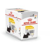 Royal_Canin Adult Dermacomfort - pašteta 12 x 85 g Cene