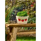Sinsay Košara za pohranu Cijene